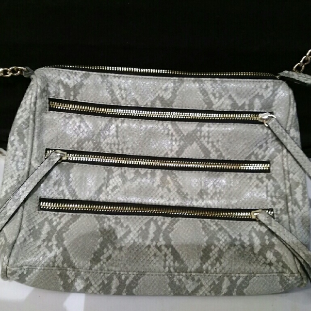 Gianni Bini handbag...