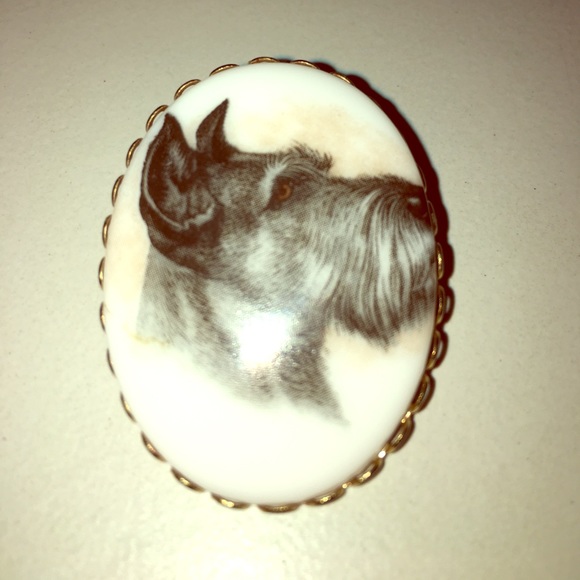 Jewelry - Schnauzer cameo brooch pin 👍
