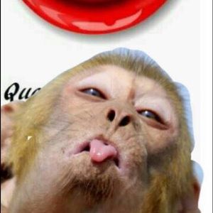 Meet your Posher, Asneri