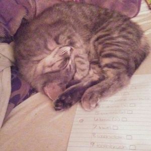 Meet your Posher, Grace