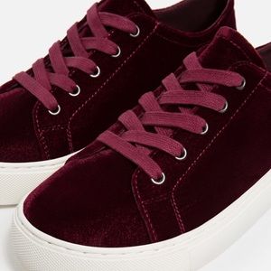 Velvet Zara sneaker