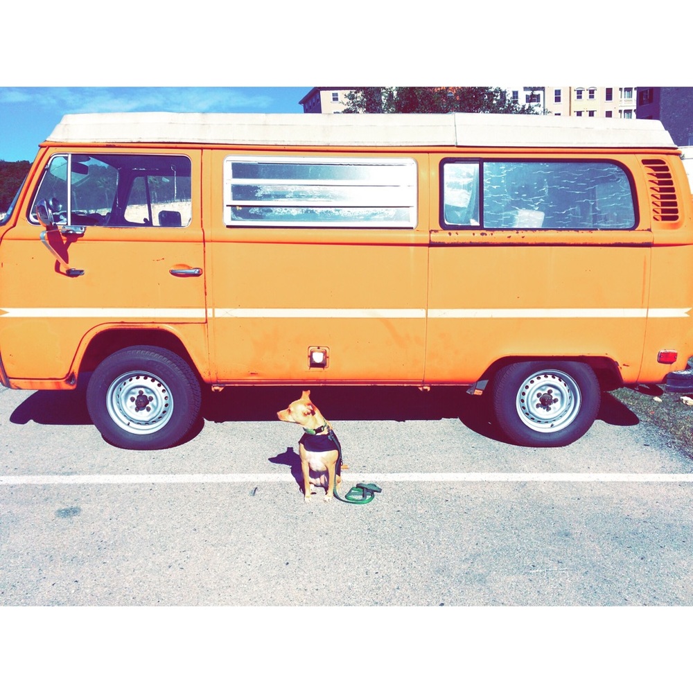 Meet your Posher, Annabelle