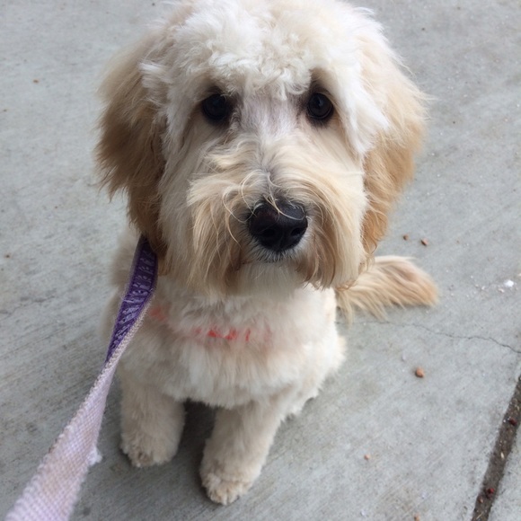 🎶 How sweet it is...🍬 - Picture 4 of 4