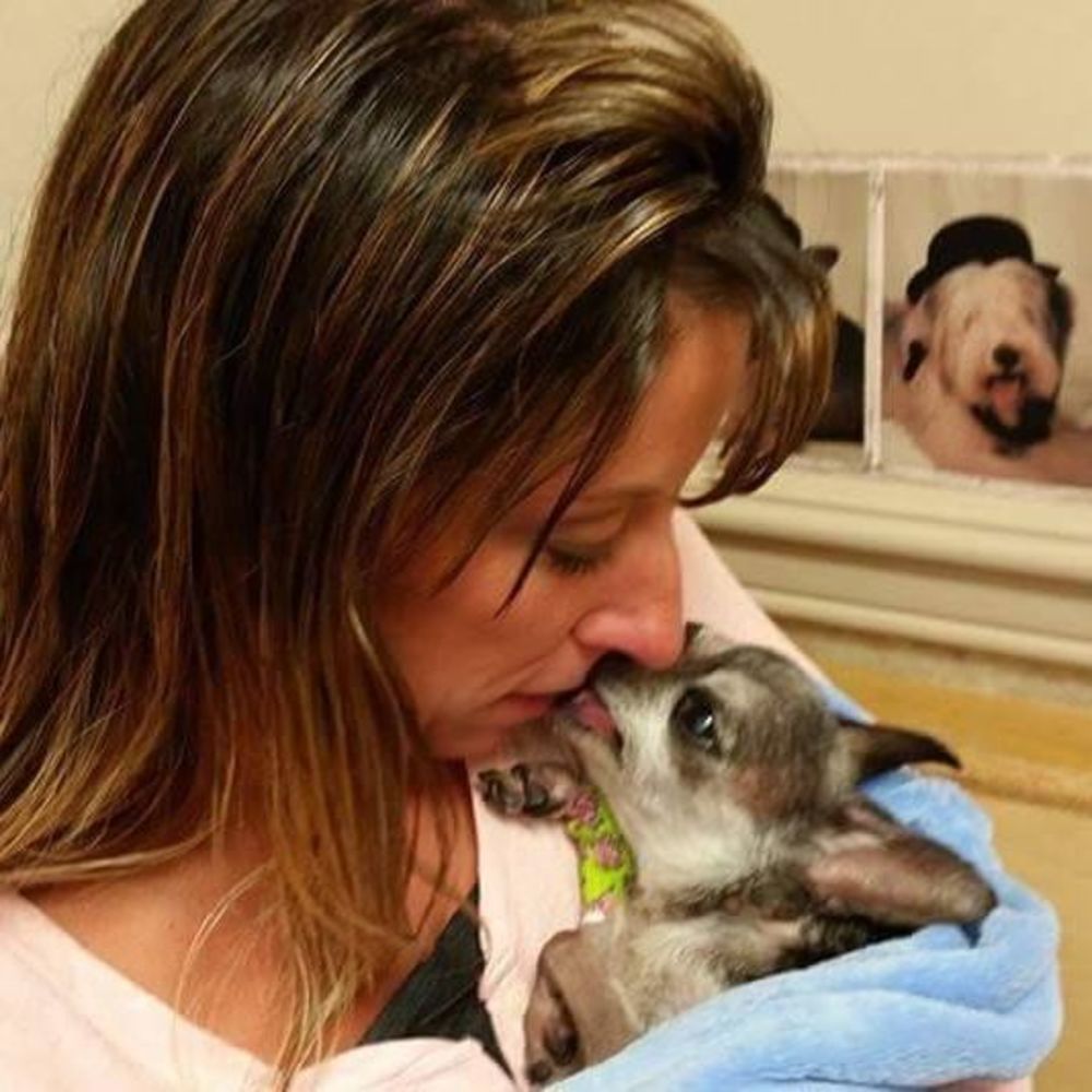 Meet your Posher, Joale