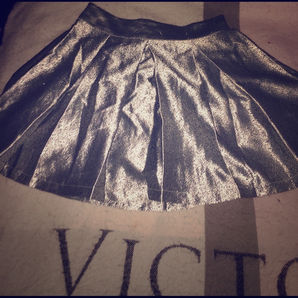 Sparkly Skater Skirt