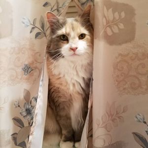 Meet your Posher, Wilma