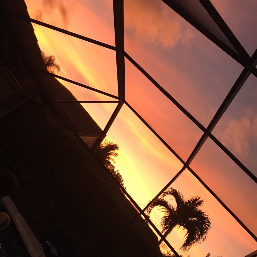 Meet your Posher, Nikkita