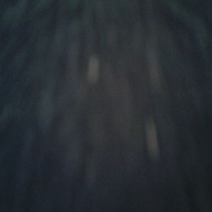 Meet your Posher, Ava