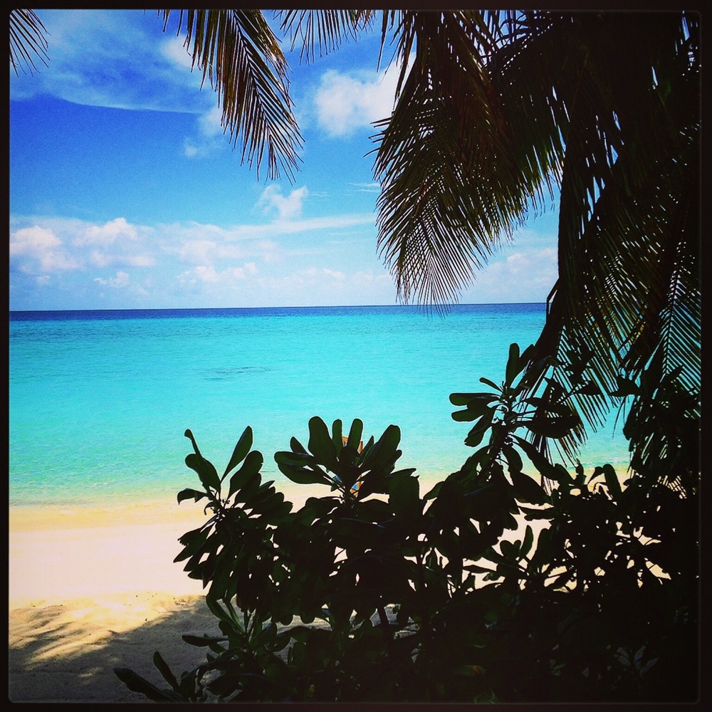 Meet your Posher, Sandy