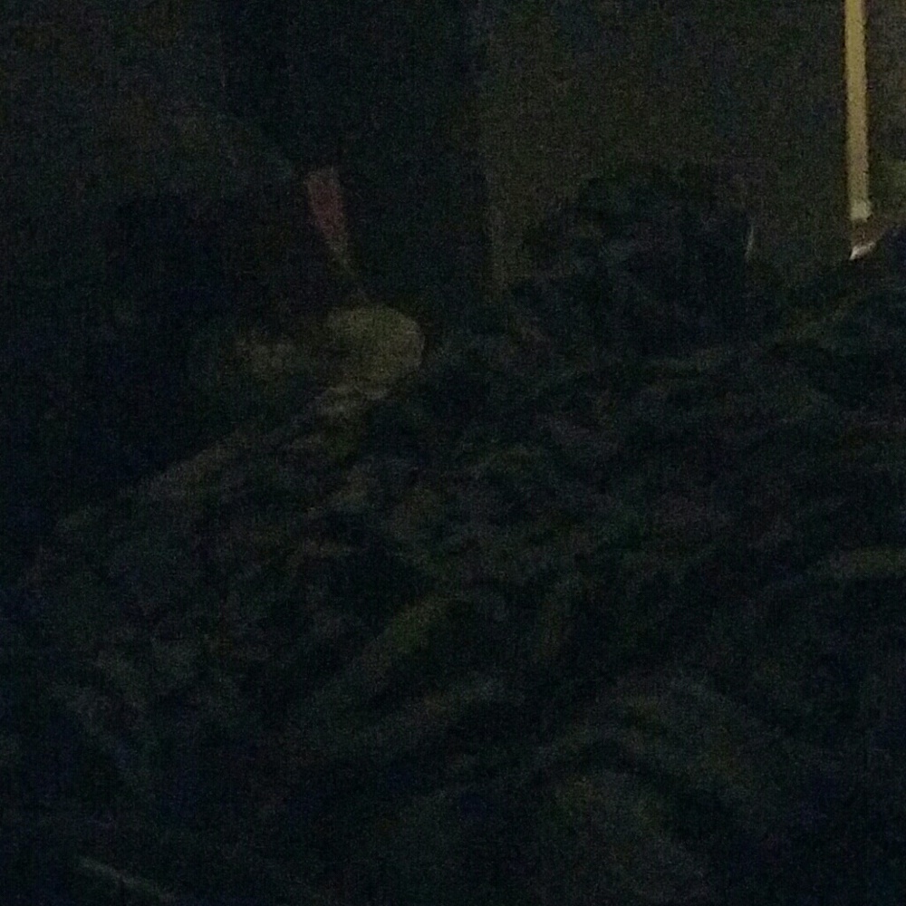 Meet your Posher, Mabel