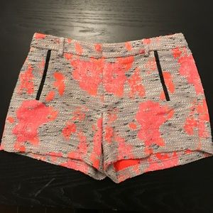 Anthropology Shorts