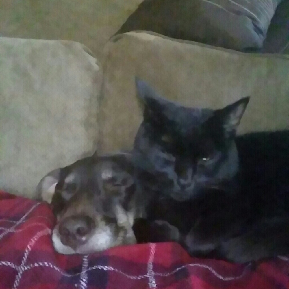 Meet your Posher, Chris