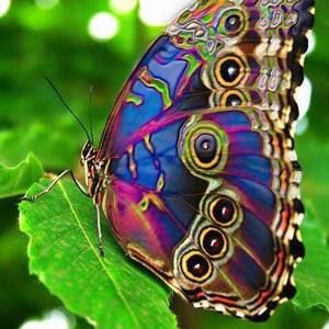 Meet your Posher, Yesenia