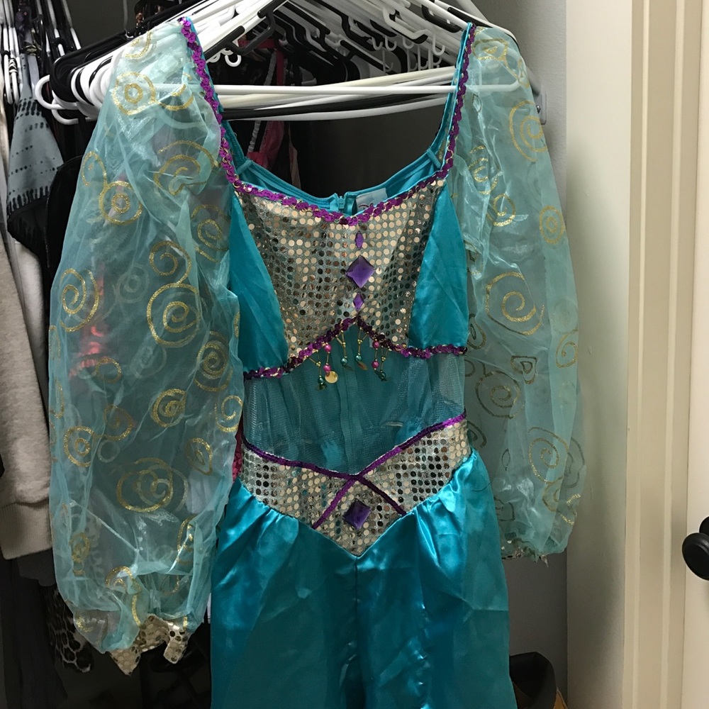 Princess Jasmine Costume
