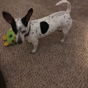 Meet your Posher, Shari