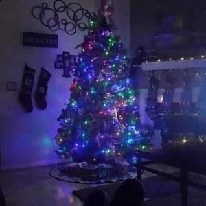 Meet your Posher, Broderick