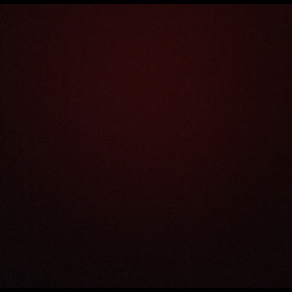 Meet your Posher, Gracie