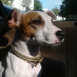 Meet your Posher, Curtonio