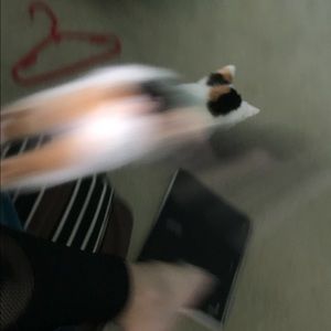 Meet your Posher, Kamryn