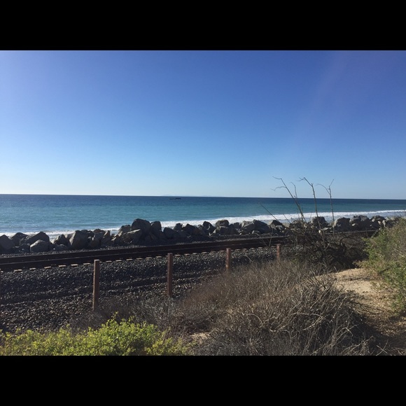 Meet your Posher, Brandi - Picture 1 of 1