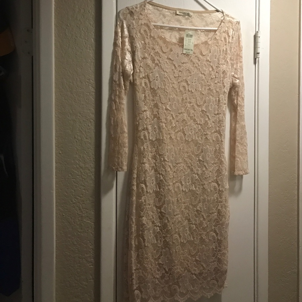 Arden B lace tan knee length dress long sleeve L