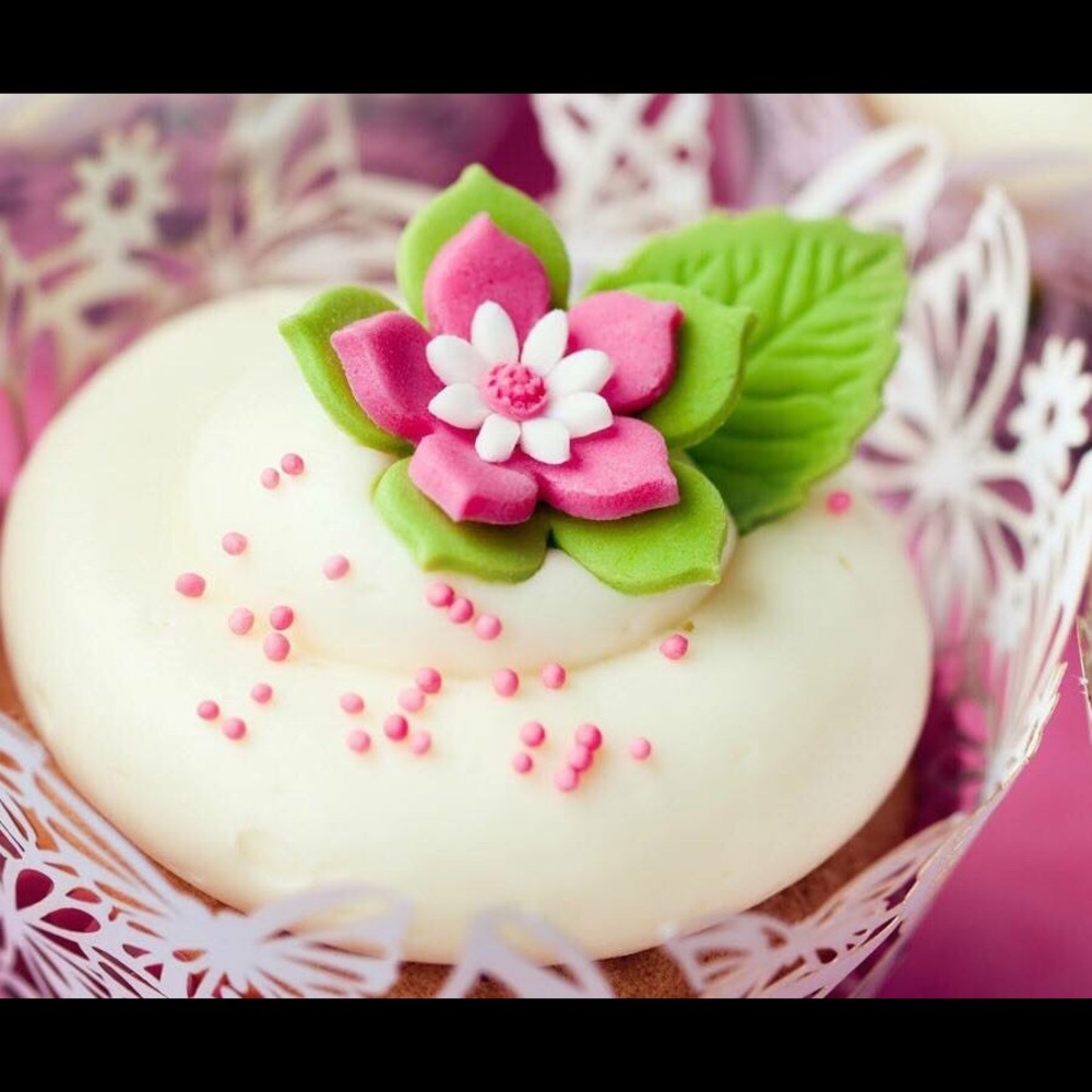 Meet your Posher, Charina