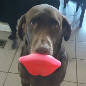 Meet your Posher, Amber