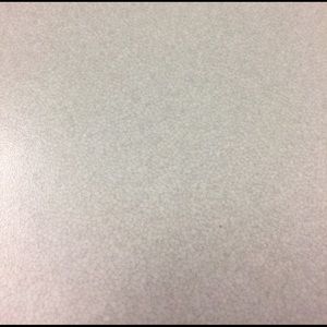 Meet your Posher, Latarisha