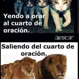 Meet your Posher, Rafaela