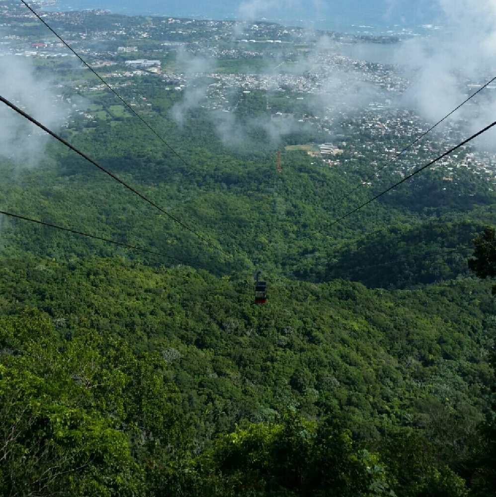 Meet your Posher, Abi