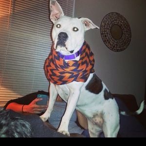 Meet your Posher, Casey