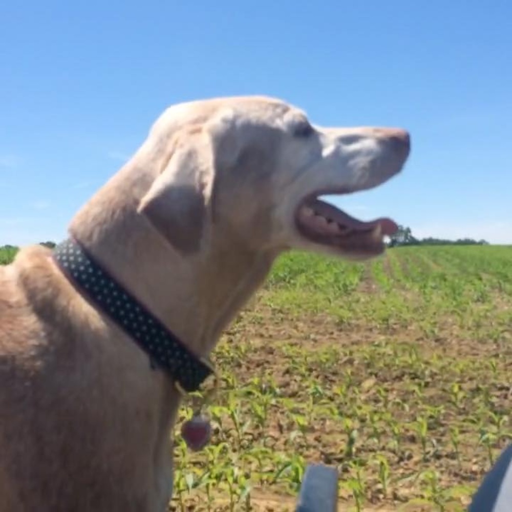 Meet your Posher, Abbey n adam