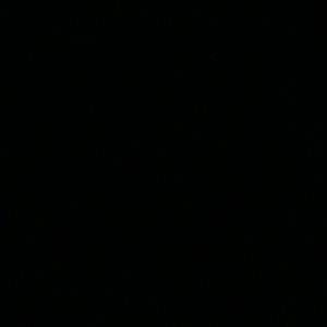 Meet your Posher, Diego