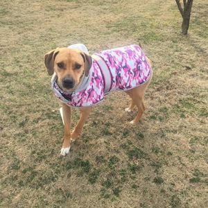 Meet your Posher, Valleri bond