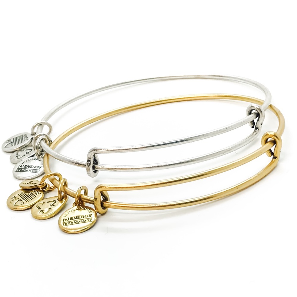 Alex and Ani bangle no charm silver or gold