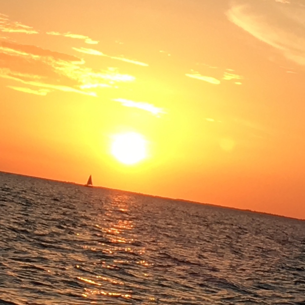 Meet your Posher, Marianne