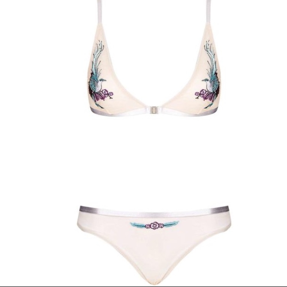 Topshop Mesh Embroidered Thong - Picture 4 of 5