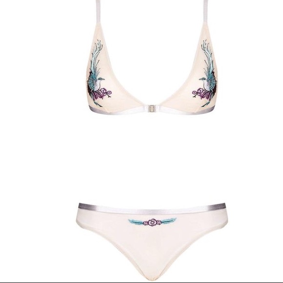 Topshop Mesh Embroidered Thong - Picture 4 of 5