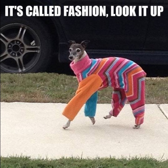 Meet your Posher, Marina! 💓 - Picture 2 of 4