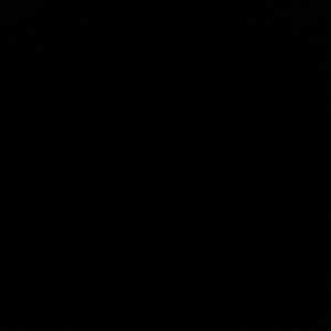 Meet your Posher, Cassidy