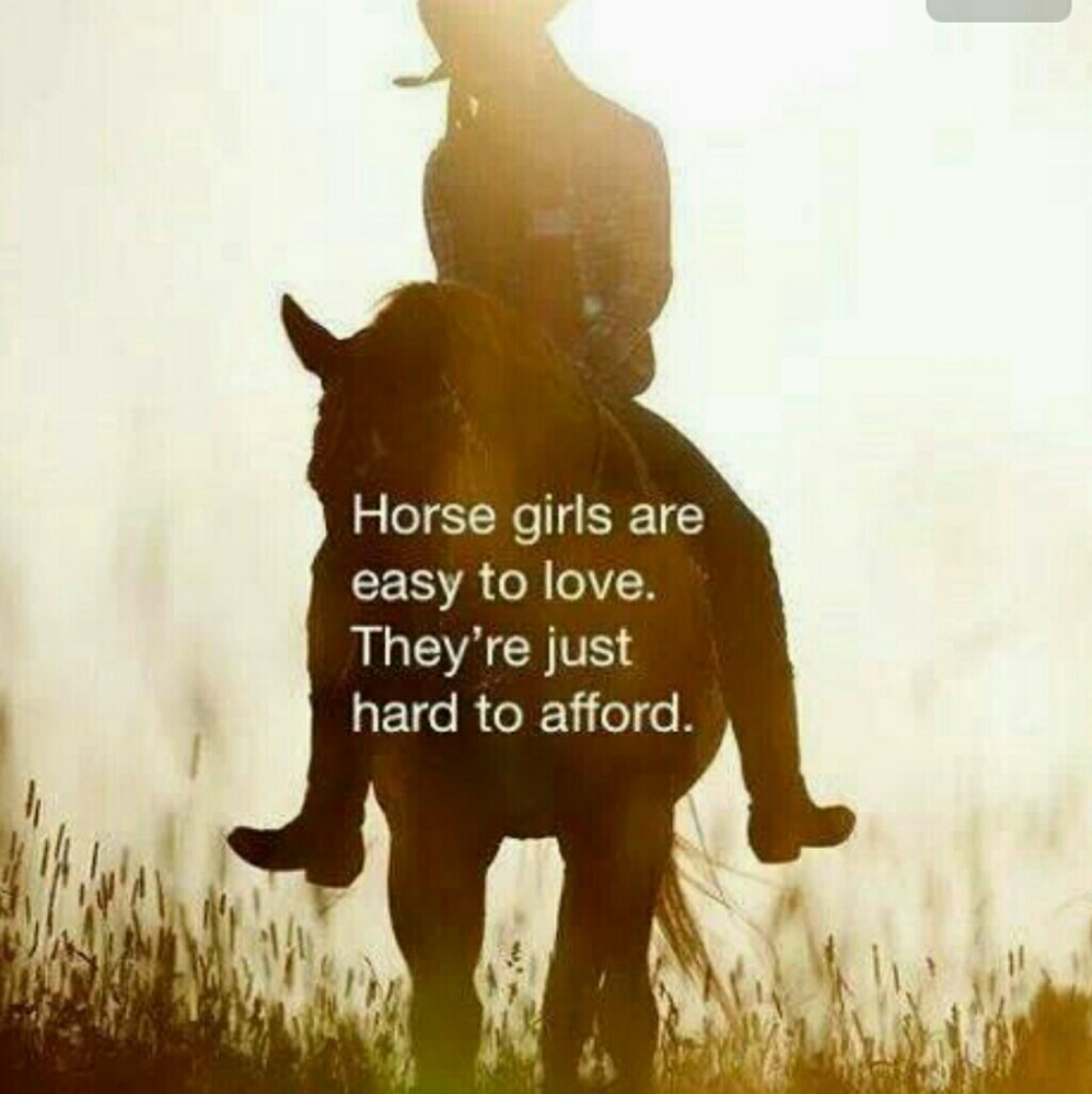 Meet your Posher, Luxarie