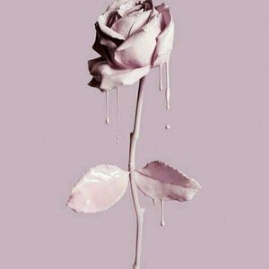 Meet your Posher, Carla