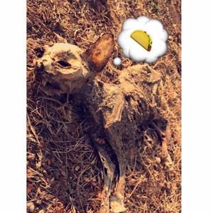 Meet your Posher, Jeffrey