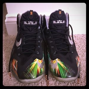 LeBron Everglades