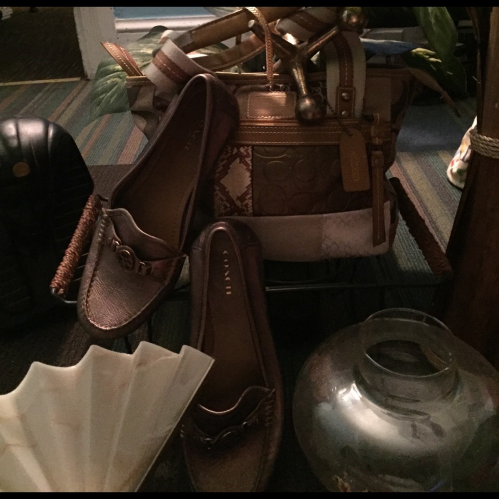 Coach shoes and purse