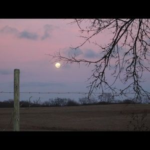 Meet your Posher, Whitney