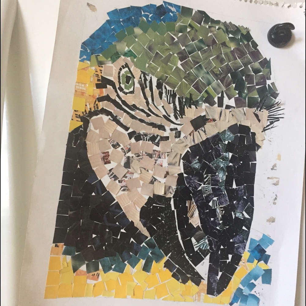 handmade magazine color collage of a macaw.