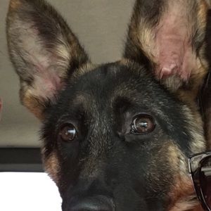 Meet your Posher, Em