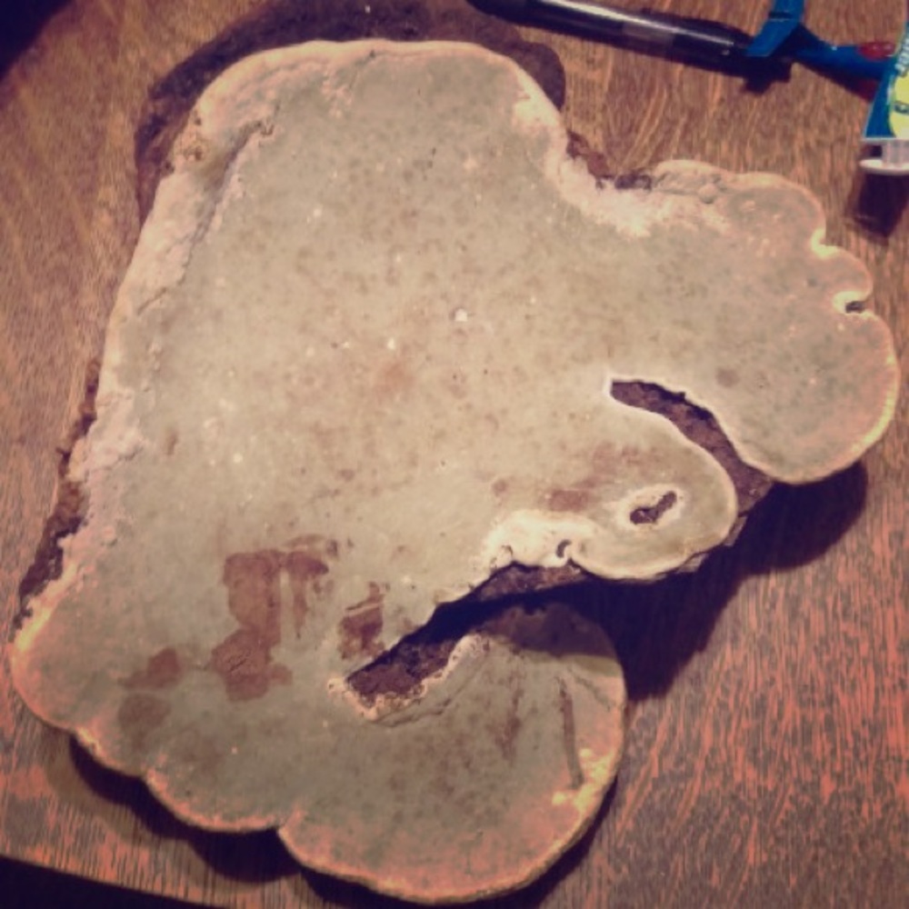 an artists conk the shape of (an elephant?)