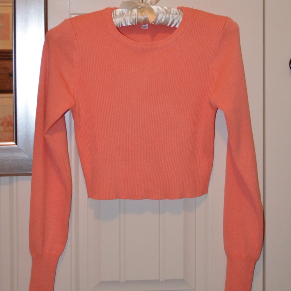 Coral Knit Long Sleeve Crop Top